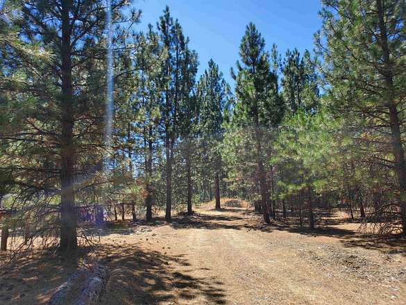 5 Acres of Residential Land for Sale in Greenview, California