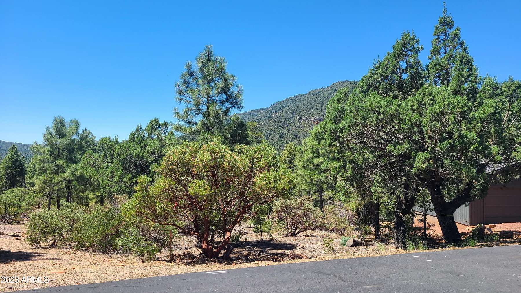 0.31 Acres of Residential Land for Sale in Pine, Arizona