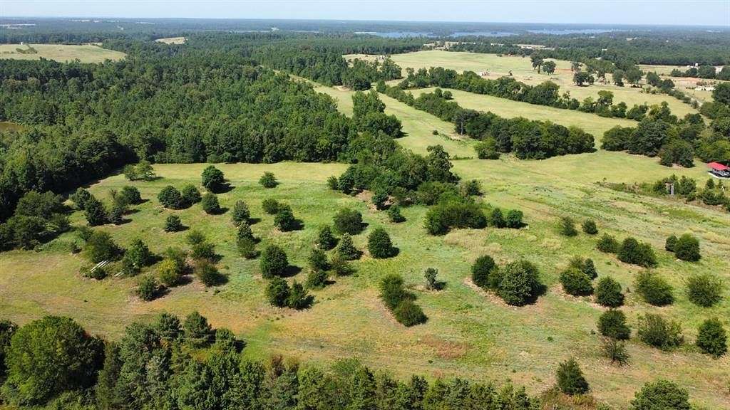 24.4 Acres of Recreational Land for Sale in Long Branch, Texas