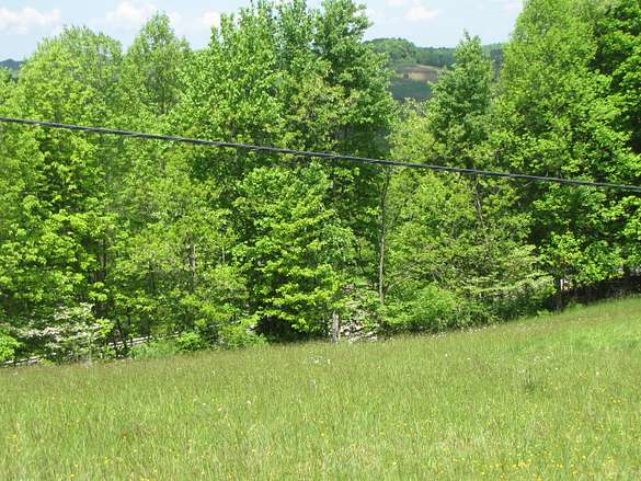 3.1 Acres of Residential Land for Sale in French Creek, West Virginia