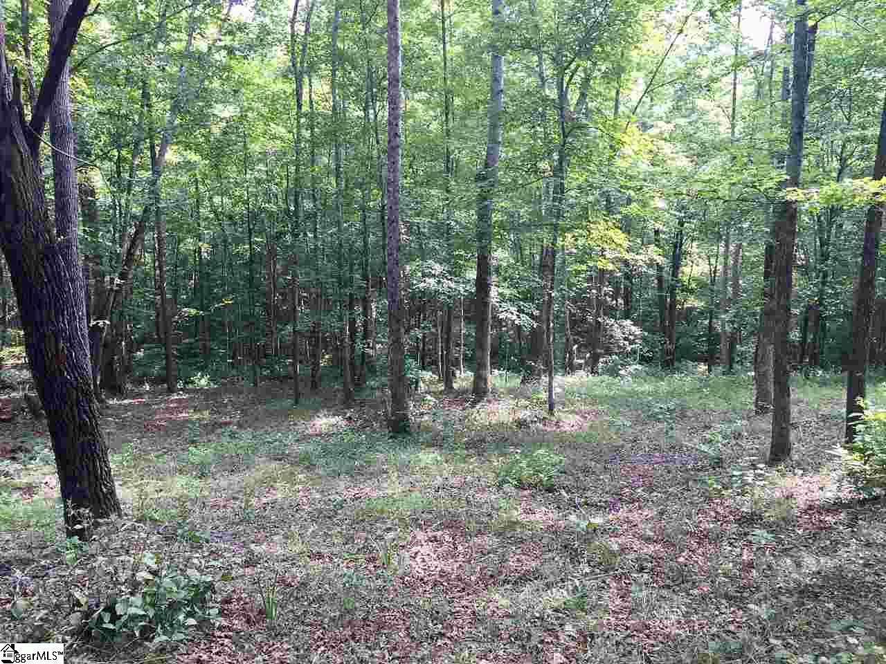 1.1 Acres of Residential Land for Sale in Marietta, South Carolina
