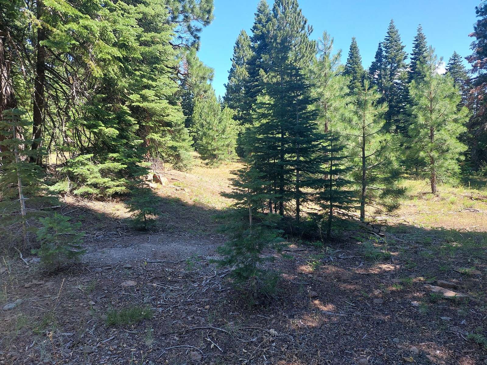 0.9 Acres of Residential Land for Sale in Alturas, California