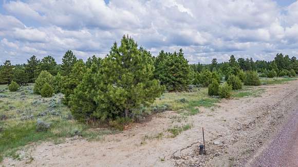 3.47 Acres of Residential Land for Sale in Newcastle, Wyoming