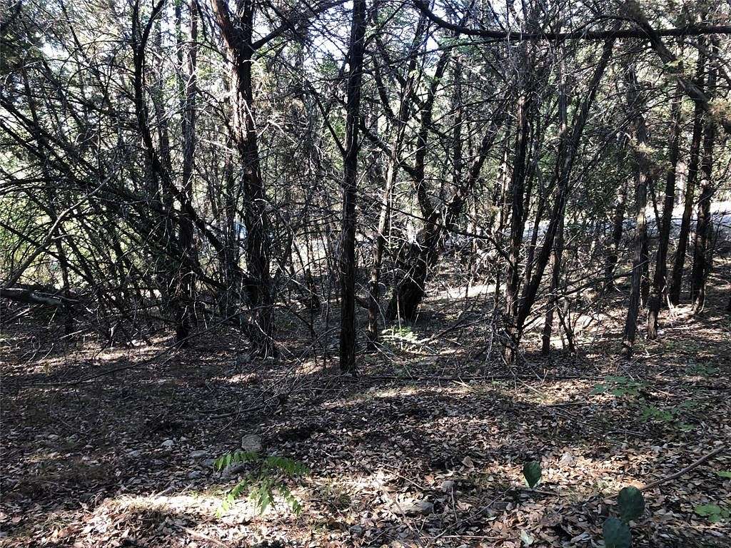 0.43 Acres of Residential Land for Sale in Granbury, Texas