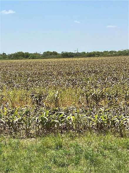 42 Acres of Improved Agricultural Land for Sale in Odem, Texas