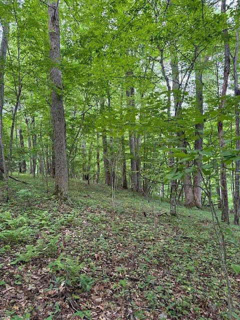 2.7 Acres of Land for Sale in Newland, North Carolina