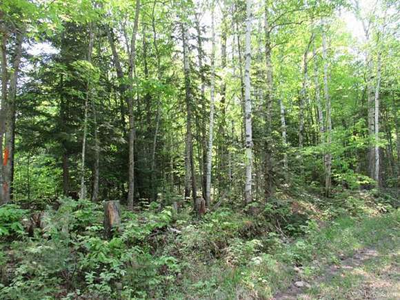 119 Acres of Recreational Land for Sale in L'Anse, Michigan