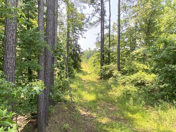 89 Acres of Recreational Land for Sale in Rosston, Arkansas