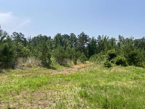 89 Acres of Recreational Land for Sale in Rosston, Arkansas - LandSearch