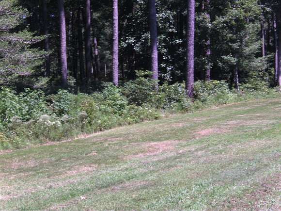 3 Acres of Residential Land for Sale in Horntown, Virginia