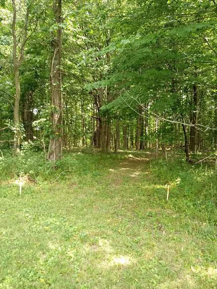 2.5 Acres of Residential Land for Sale in Sheridan, Indiana