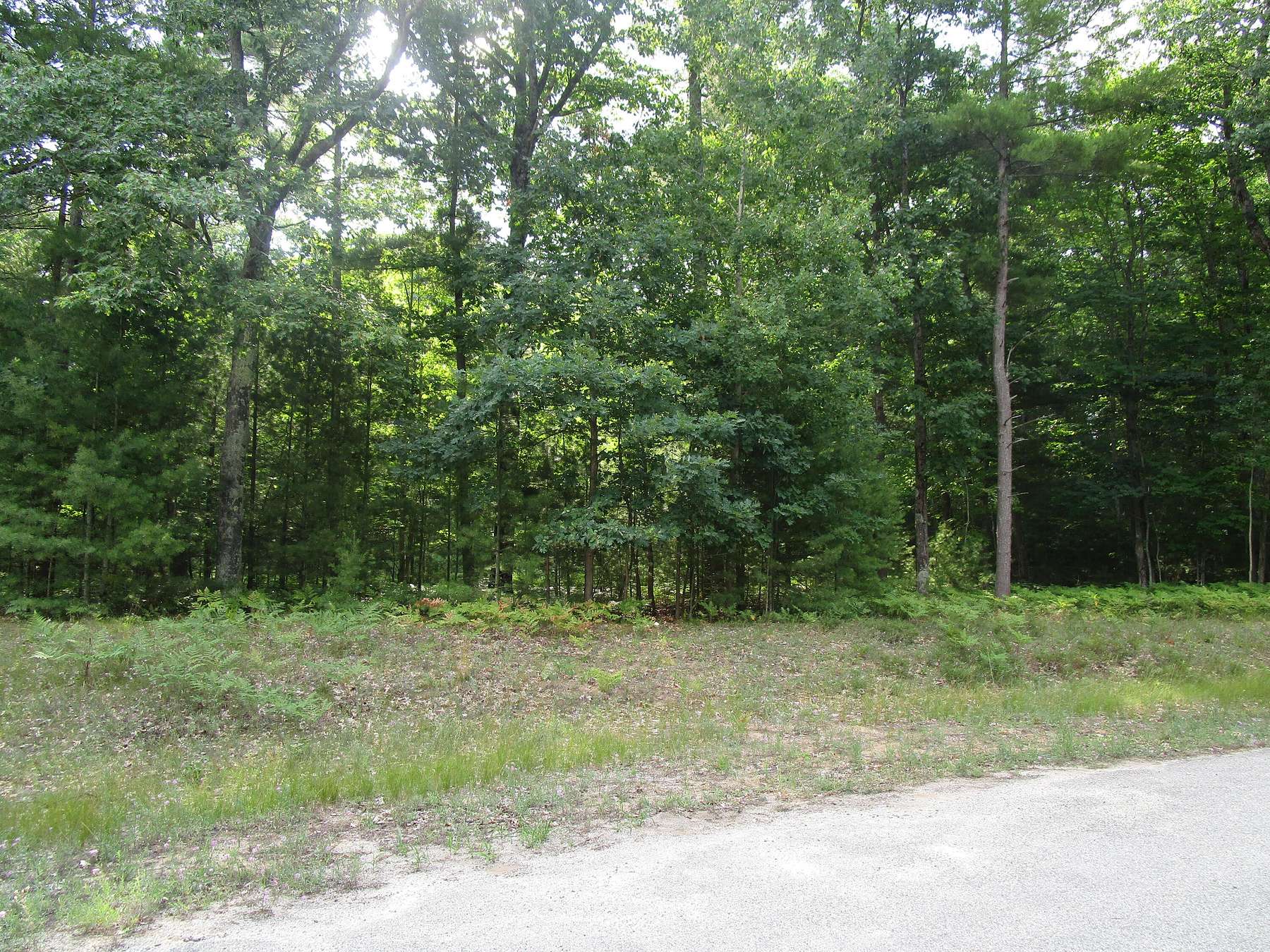 Land for Sale in Indian River, Michigan