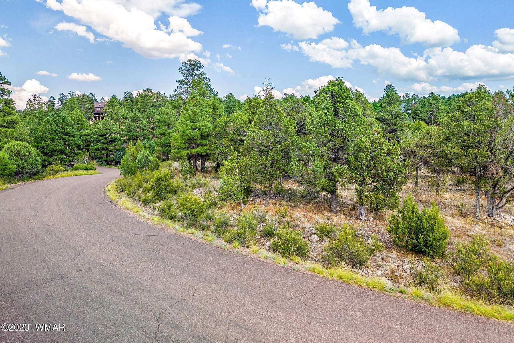 0.71 Acres of Residential Land for Sale in Overgaard, Arizona