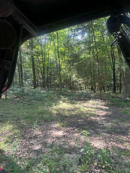 11.5 Acres of Recreational Land for Sale in Dover, Arkansas
