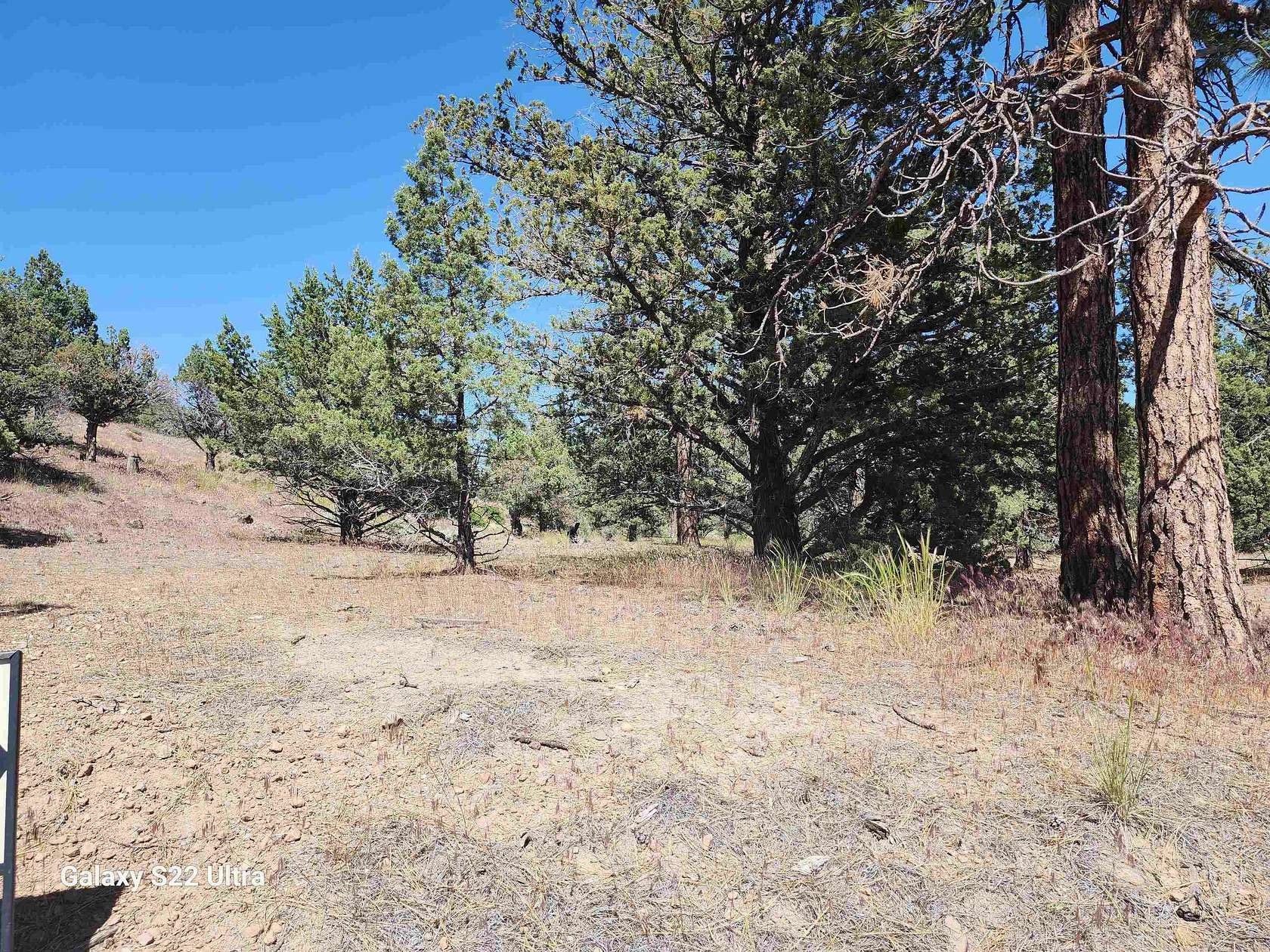 0.24 Acres of Residential Land for Sale in Weed, California