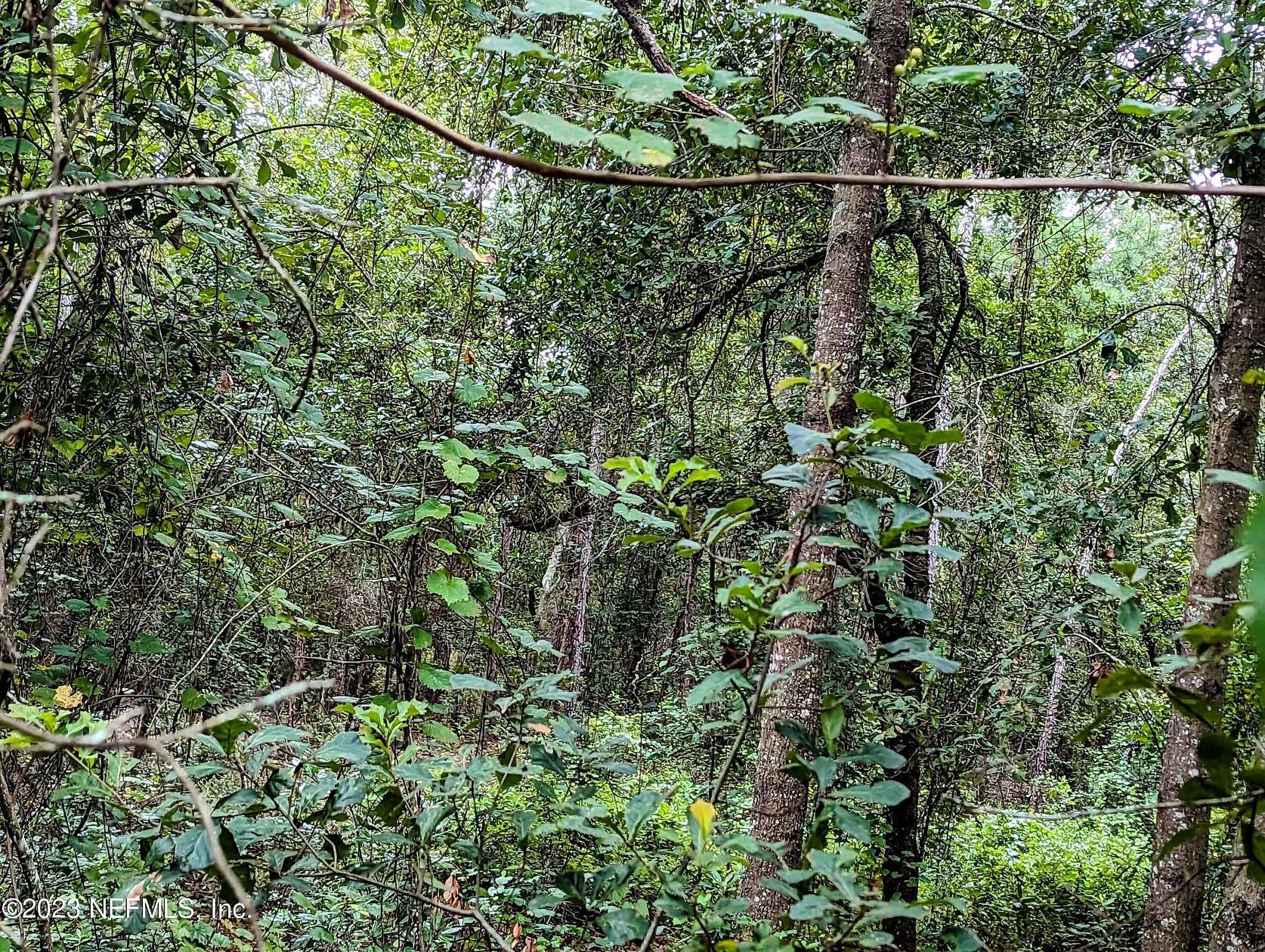 1.29 Acres of Residential Land for Sale in Keystone Heights, Florida