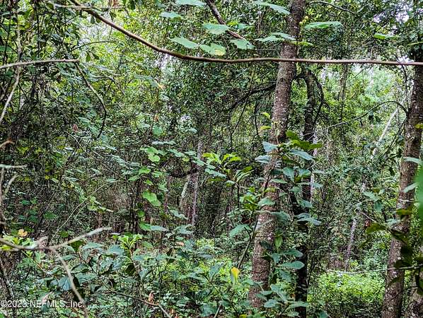 1.29 Acres of Residential Land for Sale in Keystone Heights, Florida