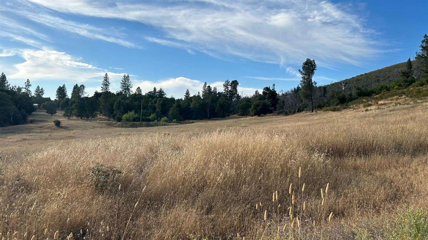5 Acres of Residential Land for Sale in Mountain Ranch, California