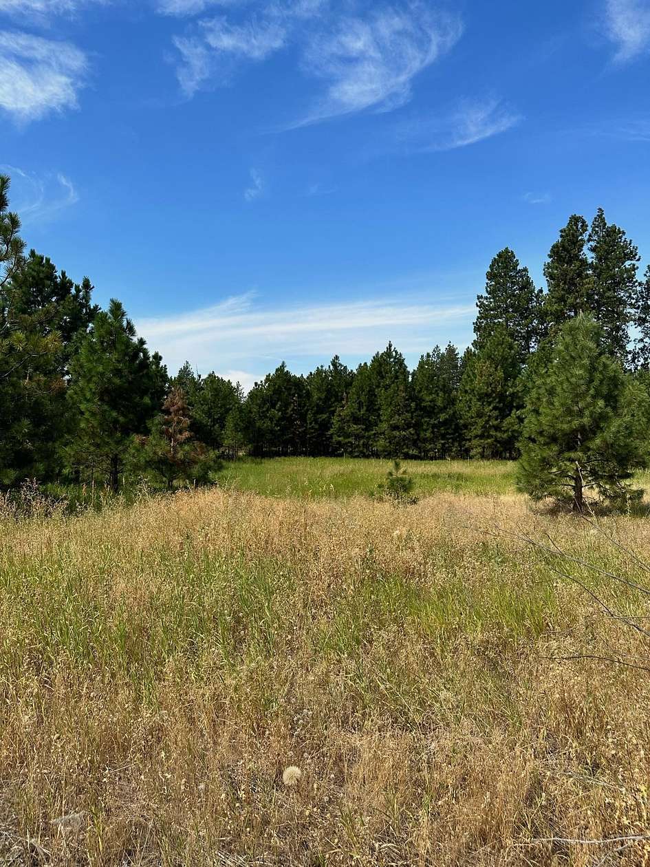 40 Acres of Agricultural Land for Sale in Spokane, Washington