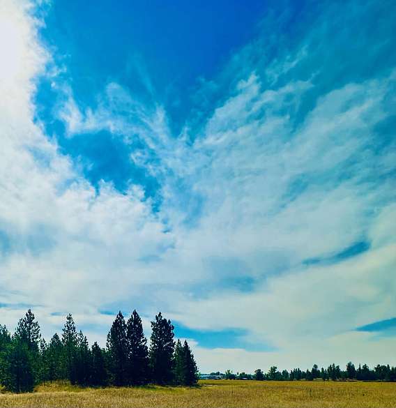 15 Acres of Agricultural Land for Sale in Spokane, Washington