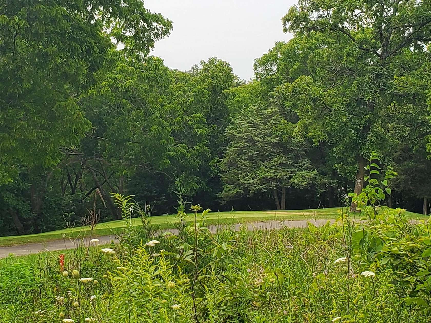 0.57 Acres of Residential Land for Sale in Galena, Illinois