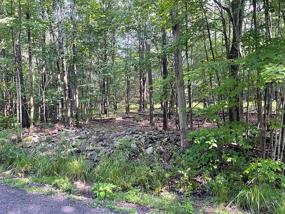 5 Acres of Residential Land for Sale in Conesville, New York