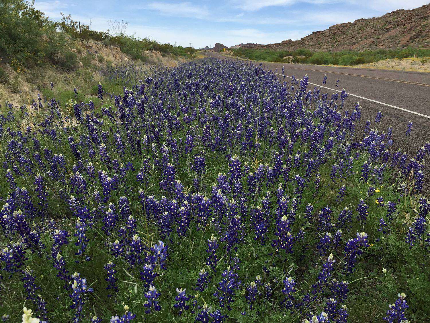 20 Acres of Recreational Land for Sale in Terlingua, Texas