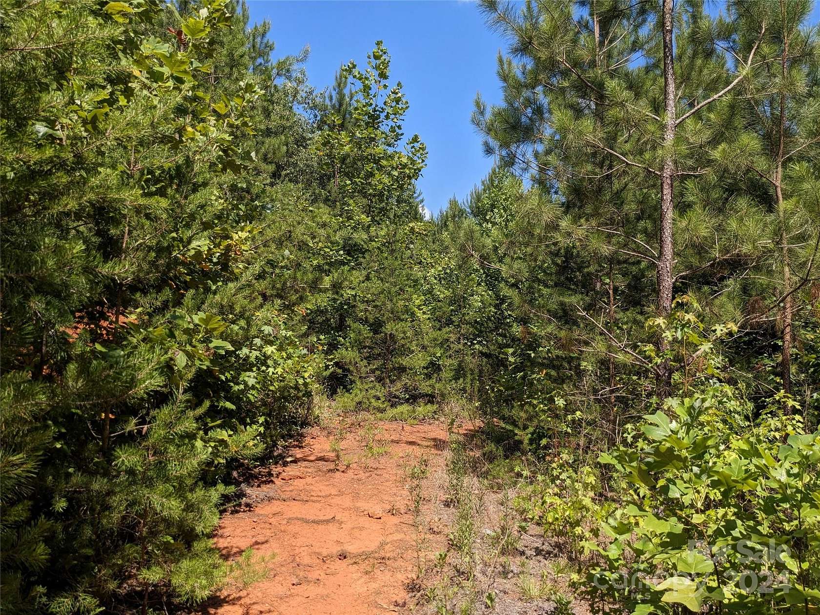 32.3 Acres of Land for Sale in Bostic, North Carolina