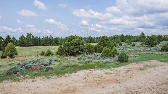 4.8 Acres of Residential Land for Sale in Newcastle, South Dakota