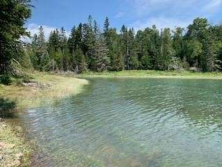 7 Acres of Land for Sale in Perry, Maine
