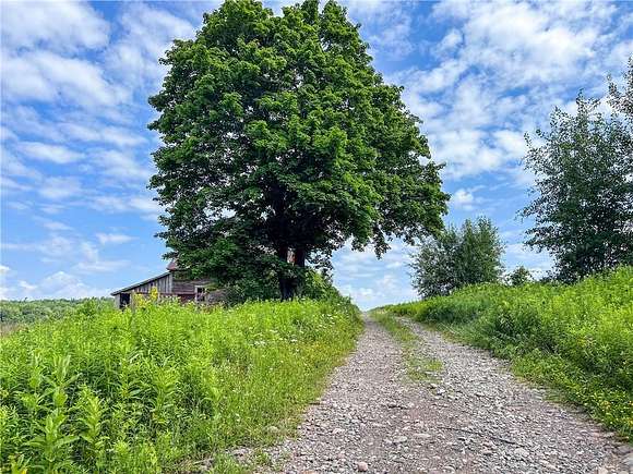 77.9 Acres of Recreational Land for Sale in Unadilla, New York