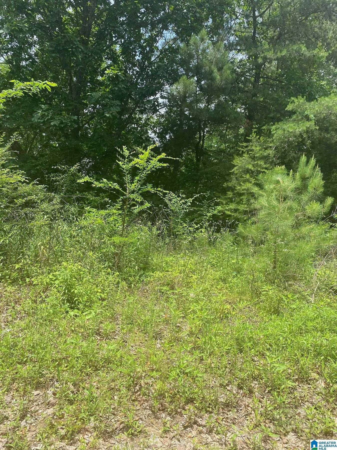 38.6 Acres of Recreational Land for Sale in Springville, Alabama