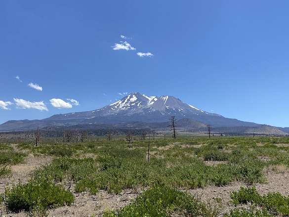 20.1 Acres of Land for Sale in Weed, California