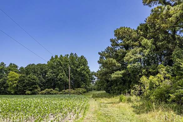 124 Acres of Agricultural Land for Sale in Jarvisburg, North Carolina ...