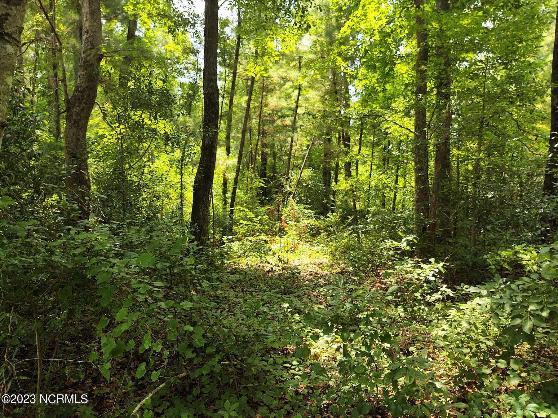 0.5 Acres of Residential Land for Sale in Jacksonville, North Carolina
