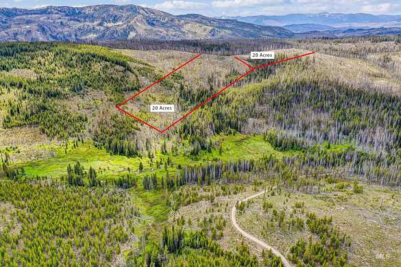 41.3 Acres of Recreational Land for Sale in Warren, Idaho