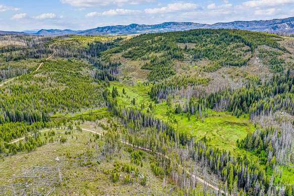 41.3 Acres of Recreational Land for Sale in Warren, Idaho - LandSearch