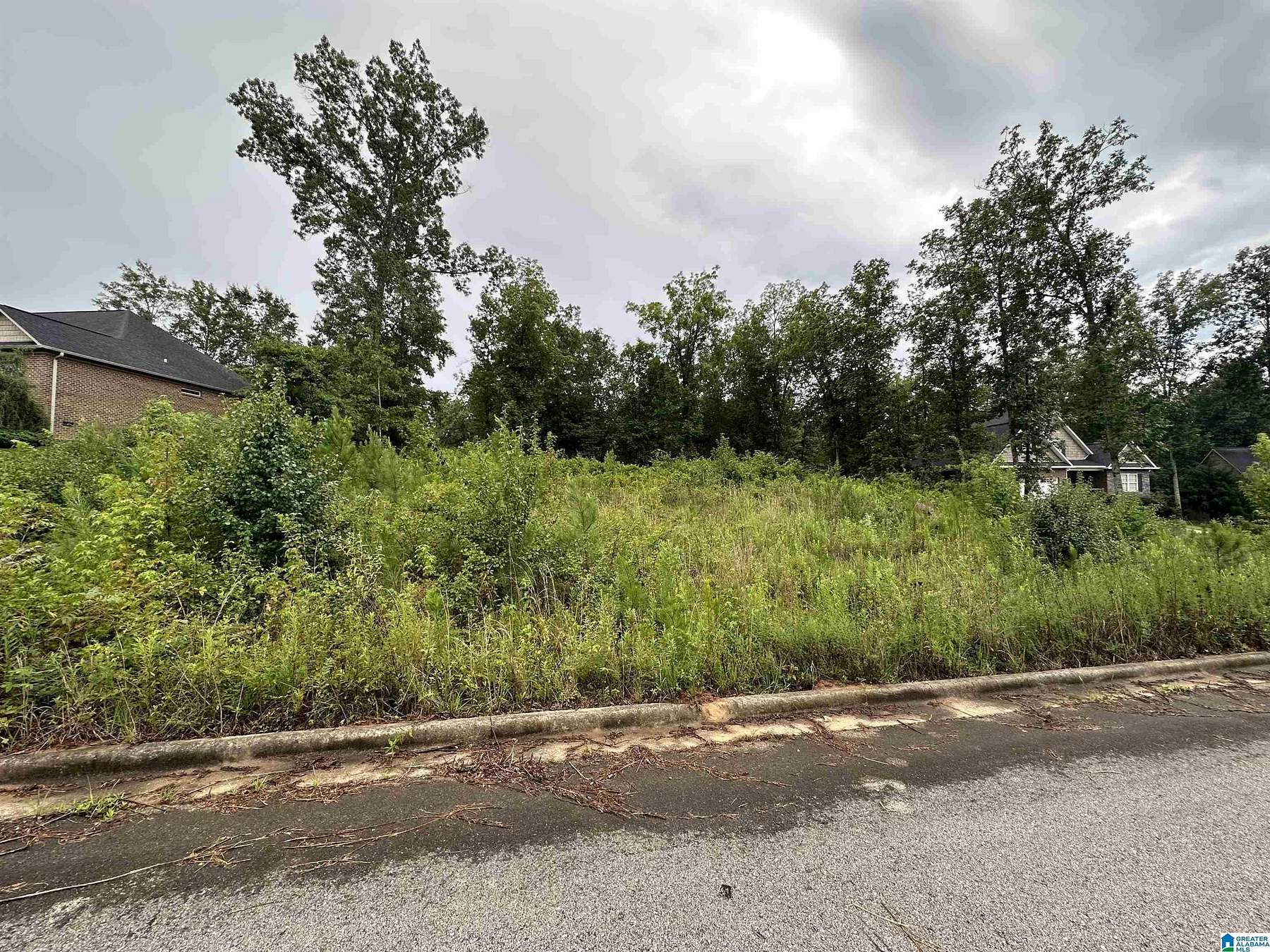 0.49 Acres of Residential Land for Sale in Anniston, Alabama