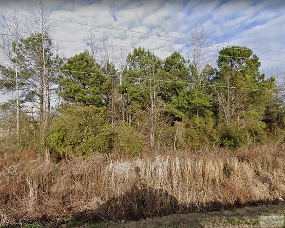 2 Acres of Commercial Land for Sale in Bishopville, South Carolina
