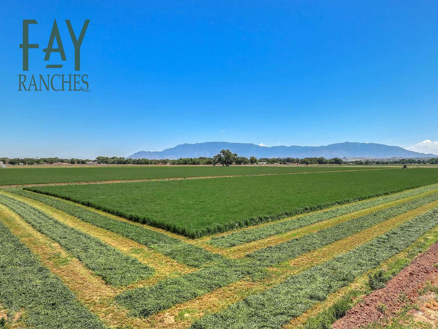 158 Acres of Recreational Land & Farm for Sale in Albuquerque, New ...