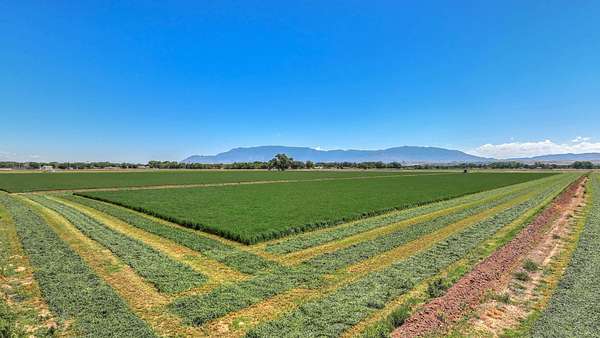 158 Acres of Land for Sale in Albuquerque, New Mexico