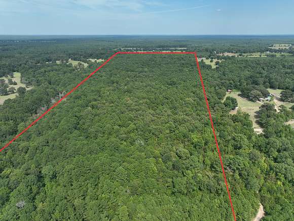 49.11 Acres of Recreational Land & Farm for Sale in Jefferson, Texas