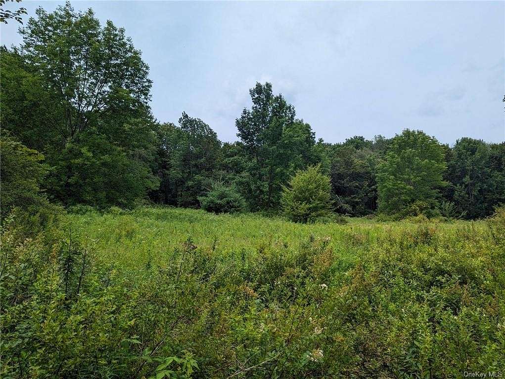 1.9 Acres of Residential Land for Sale in Liberty, New York