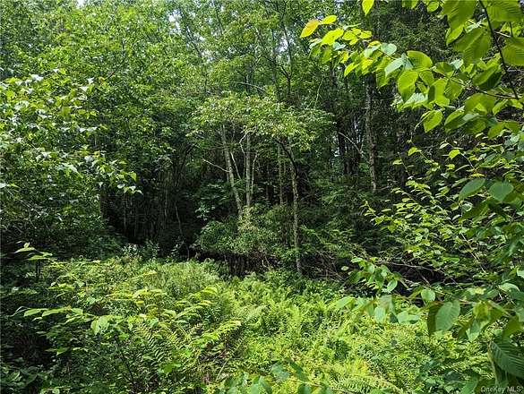 2 Acres of Residential Land for Sale in Liberty, New York