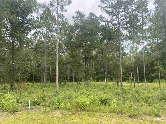 1.4 Acres of Residential Land for Sale in Tallahassee, Florida