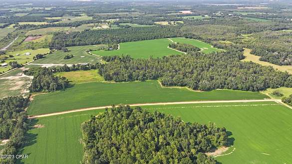 51.1 Acres of Agricultural Land for Sale in Cottondale, Florida