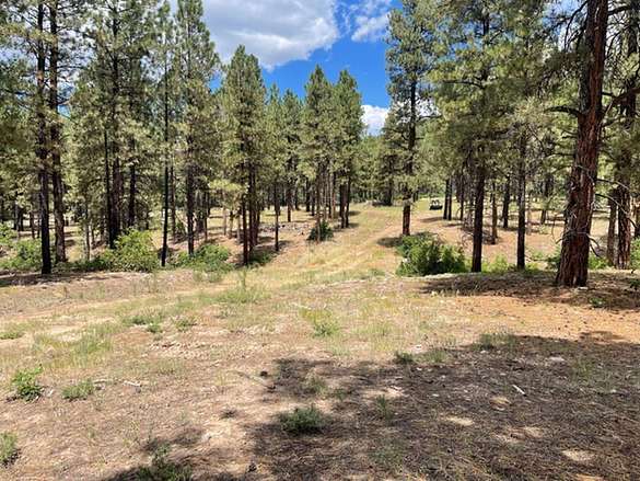 10.2 Acres of Recreational Land for Sale in Chama, New Mexico