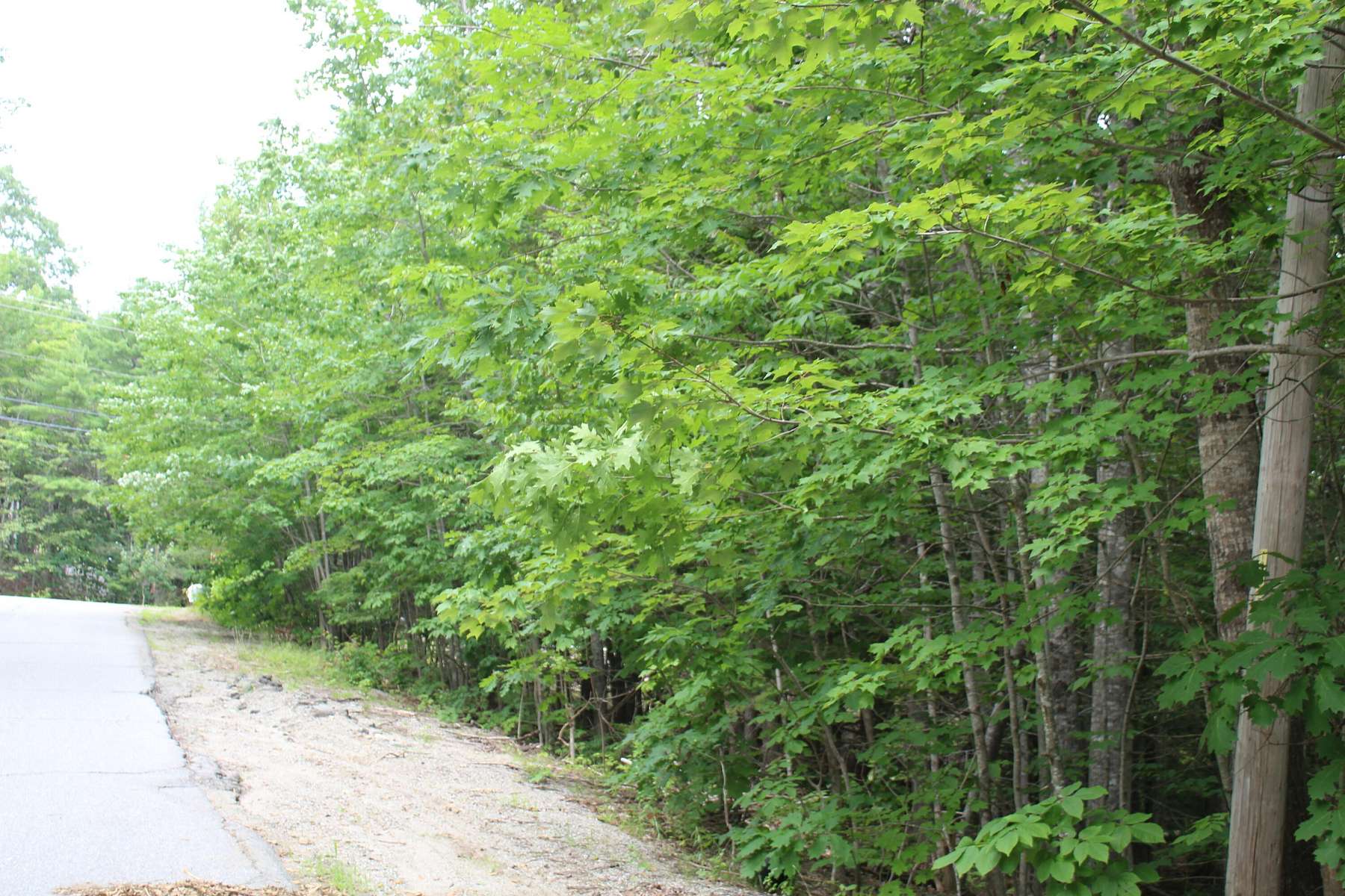 1.8 Acres of Residential Land for Sale in Ellsworth, Maine