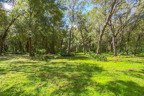 0.34 Acres of Residential Land for Sale in Orlando, Florida