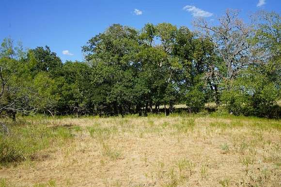7.3 Acres of Land for Sale in Milano, Texas